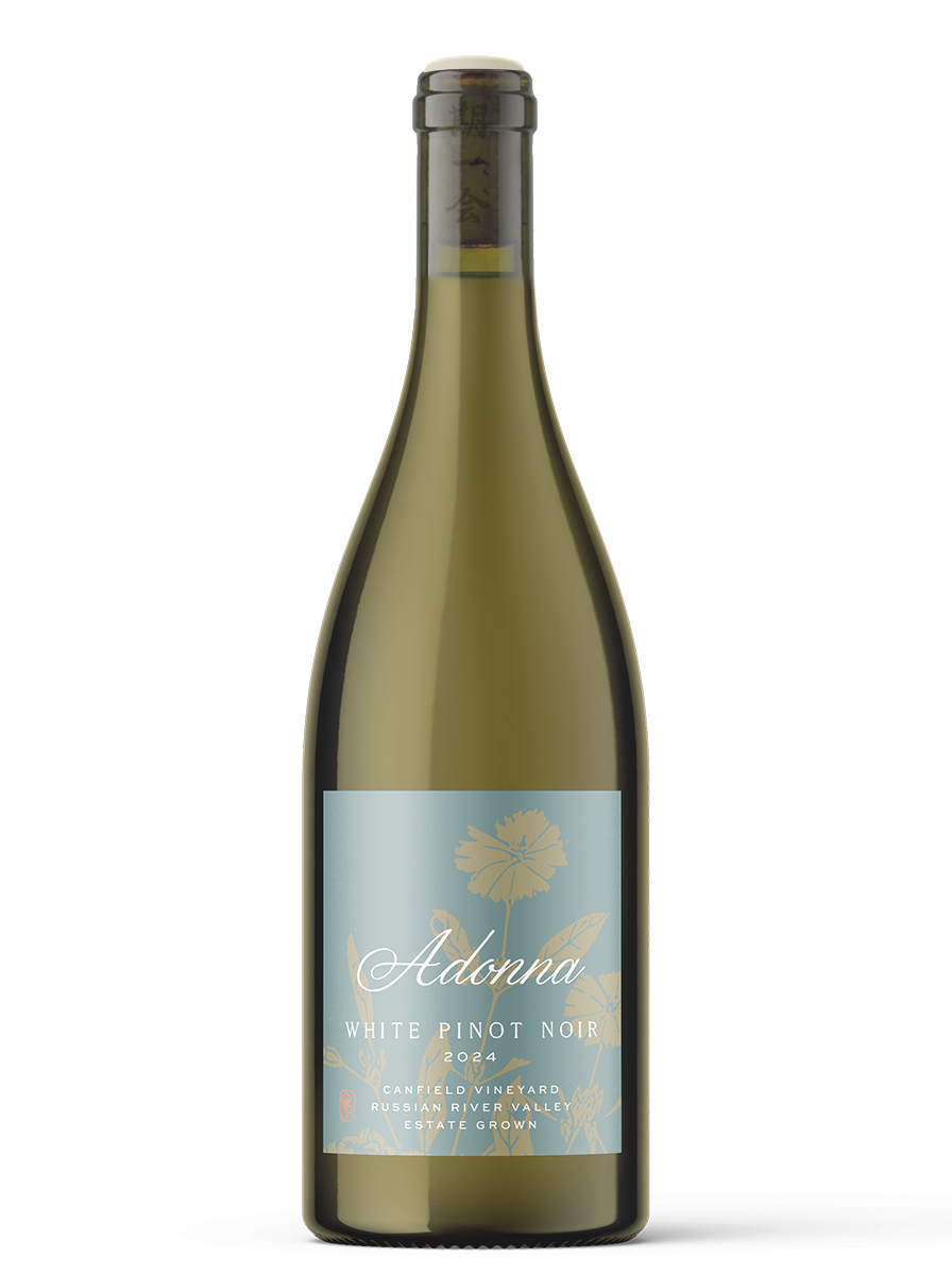 2024 White Pinot Noir